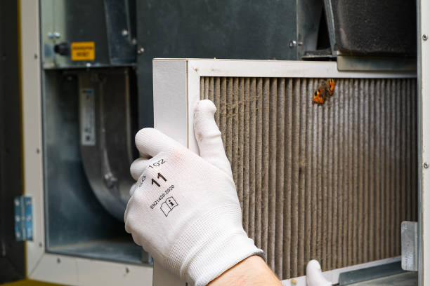 Best HVAC Air Duct Cleaning  in Prince George, VA