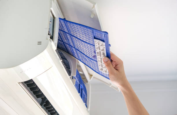 Best Air Vent Cleaning Services  in Prince George, VA
