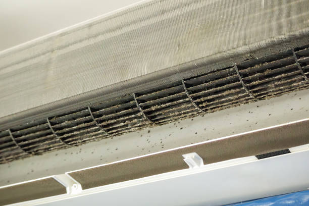 Best Air Duct Cleaning Near Me  in Prince George, VA